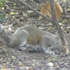 Meet your Posher, Kerrie